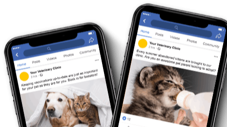 Examples of veterinary social media content